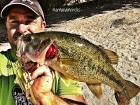 /album/galeria-de-fotos-fotos/a21728538-1488214524618973-4285145567301960351-n-jpg/