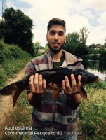 /album/galeria-de-fotos-fotos/a19554226-1415770975196662-5549341435786341478-n-jpg/